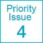 [Priority Issue 4]