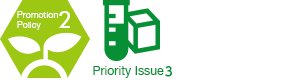 [image]Promotion policy 2 Priority issue3