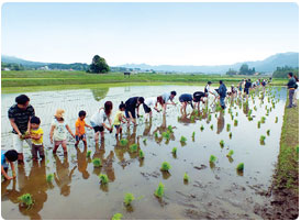 [photo]Rice Paddy Assistance Team, the Fujifilm Kyushu’s activities since FY2010